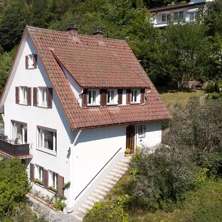 Ferienhaus Kroneck *