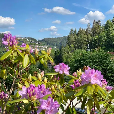 Ferienhaus Kroneck * Triberg im Schwarzwald